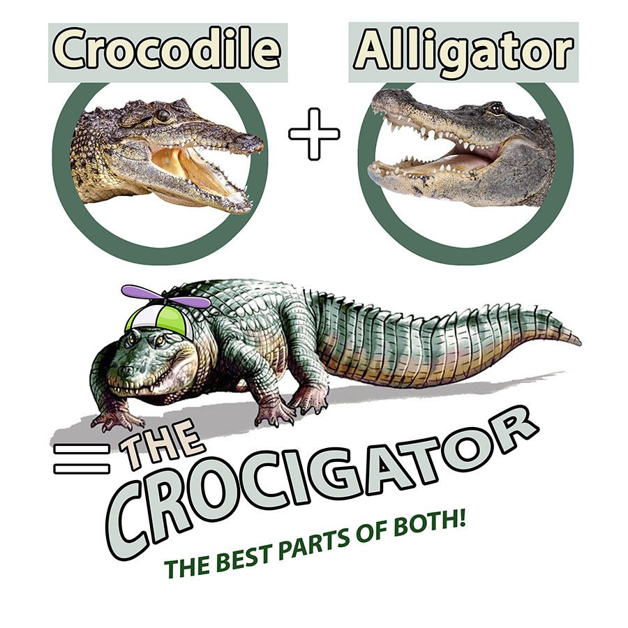 crocigator