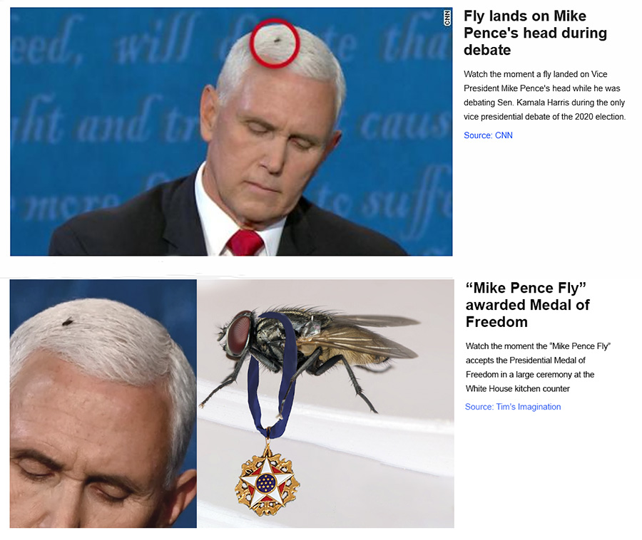 Mike Pence - House Fly - Medal of Freedom